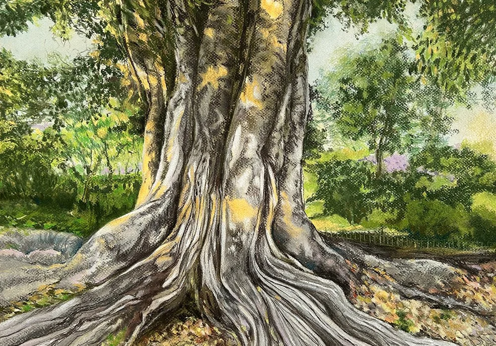 Evening Light on a Giant