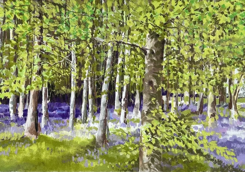 Bluebell Woods