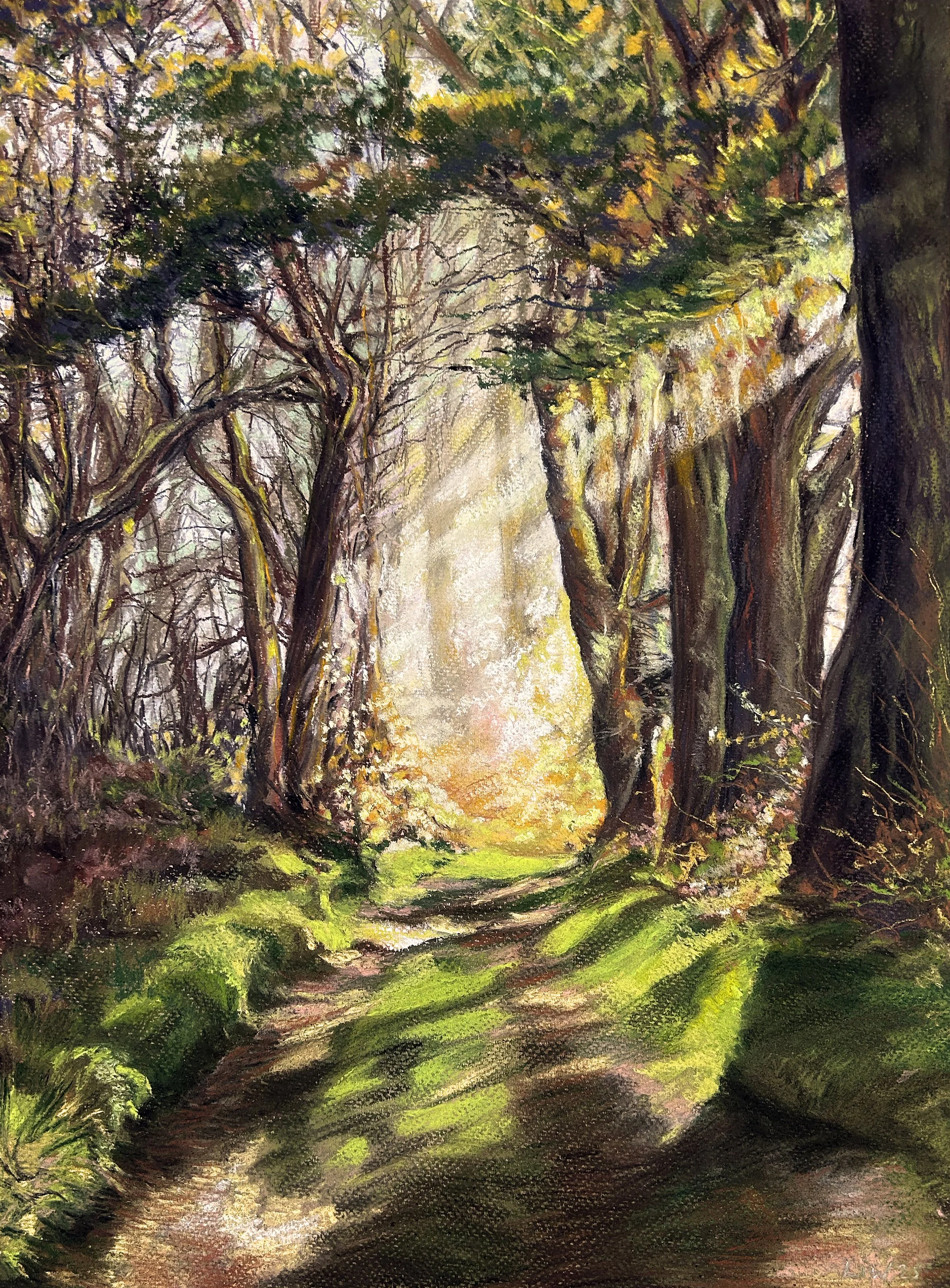Woodland-pathway-full.jpg