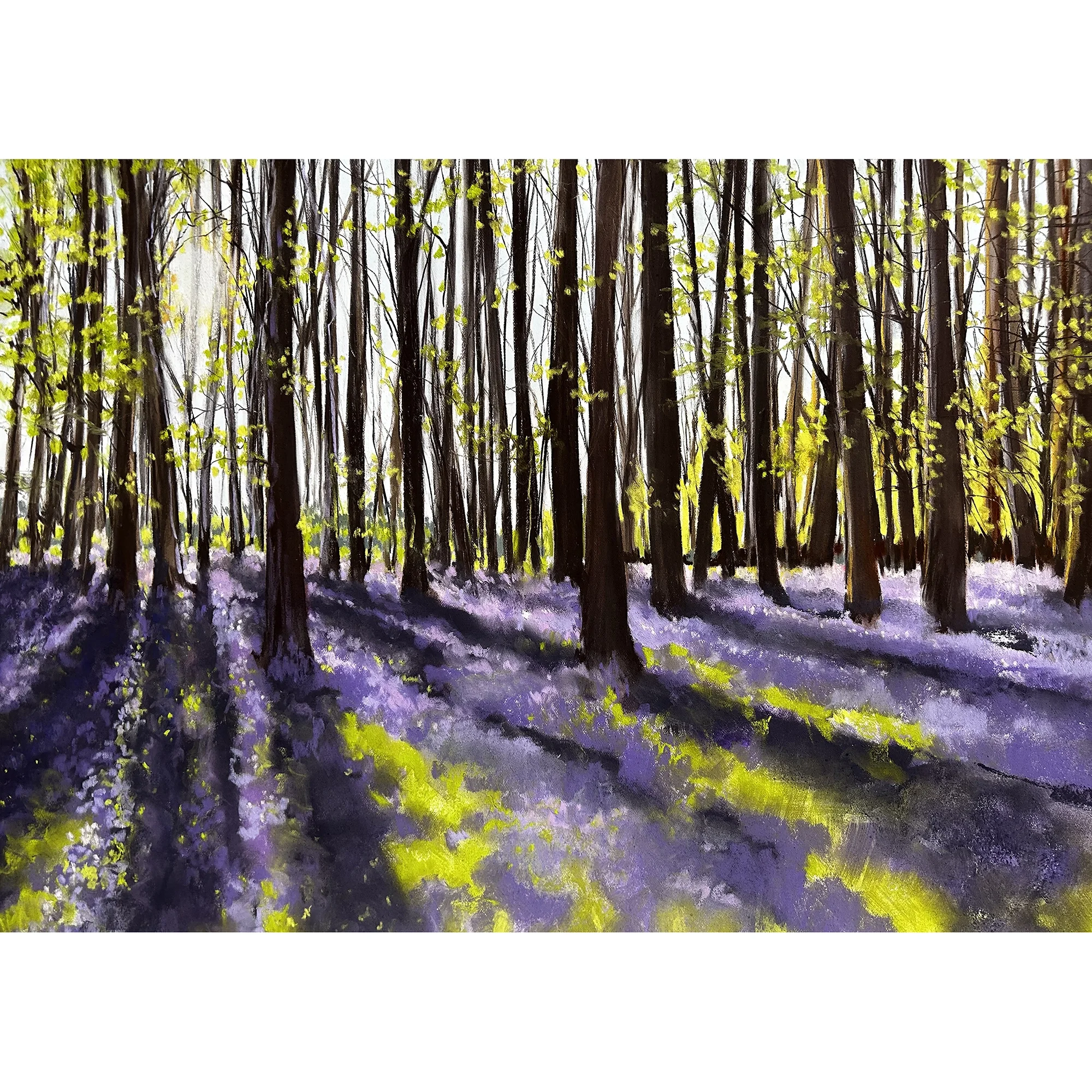 bluebells-early-light-square-2000x2000.webp
