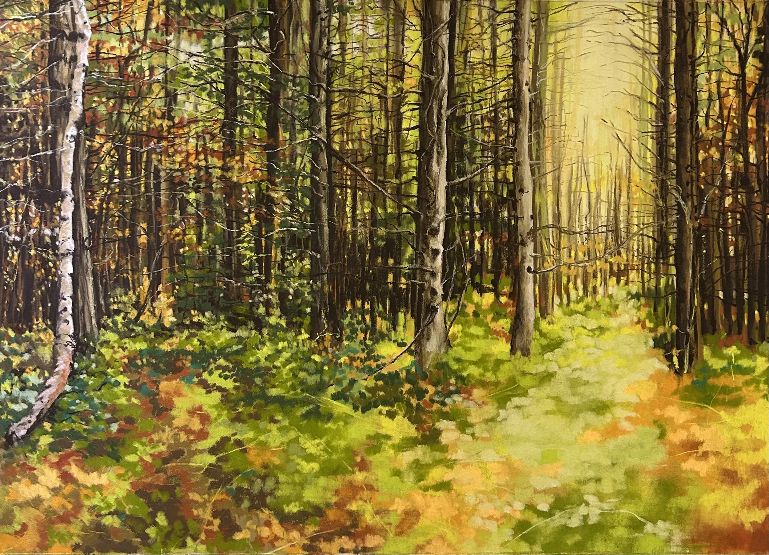 Autumn Woods-full.webp