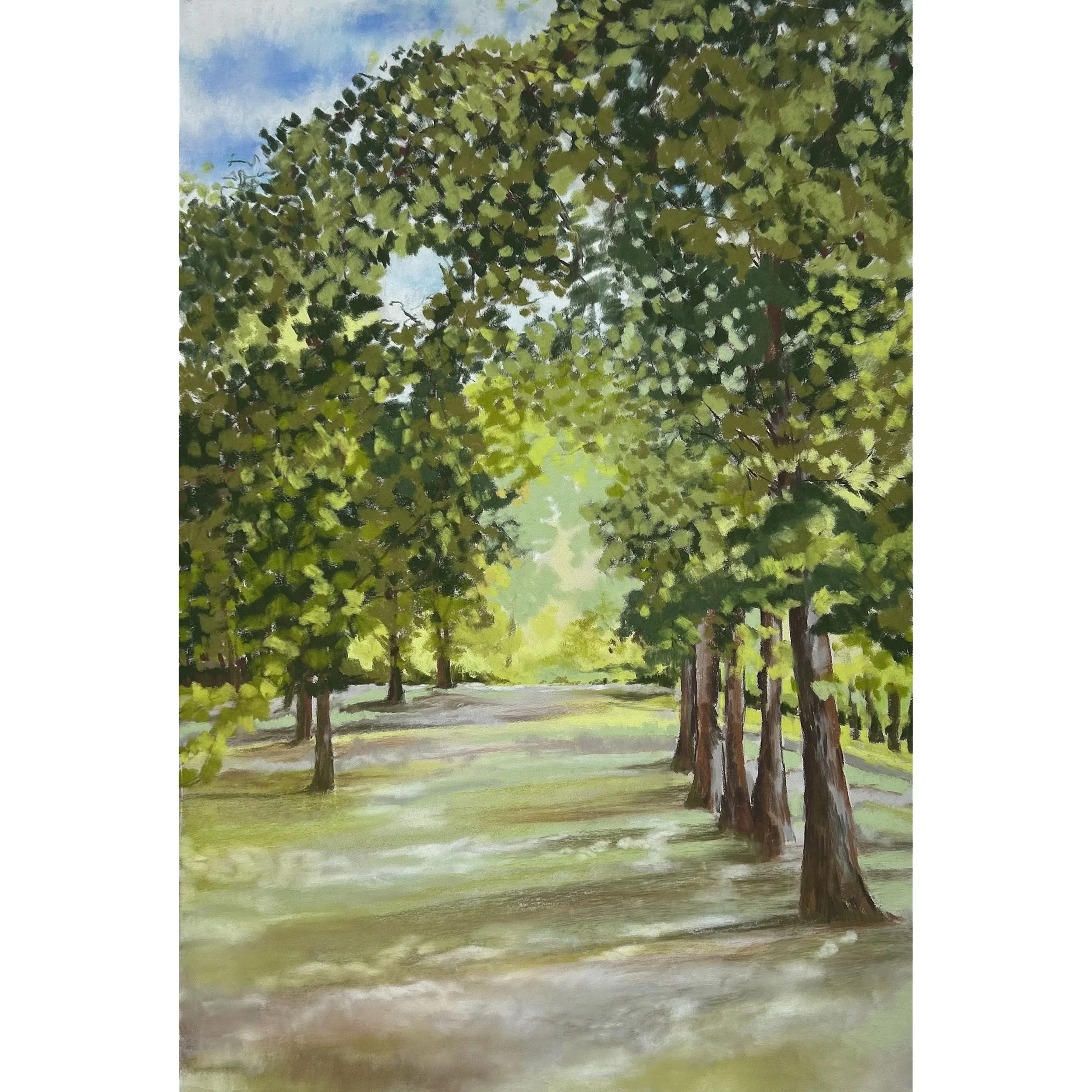 Summer in St James' Park