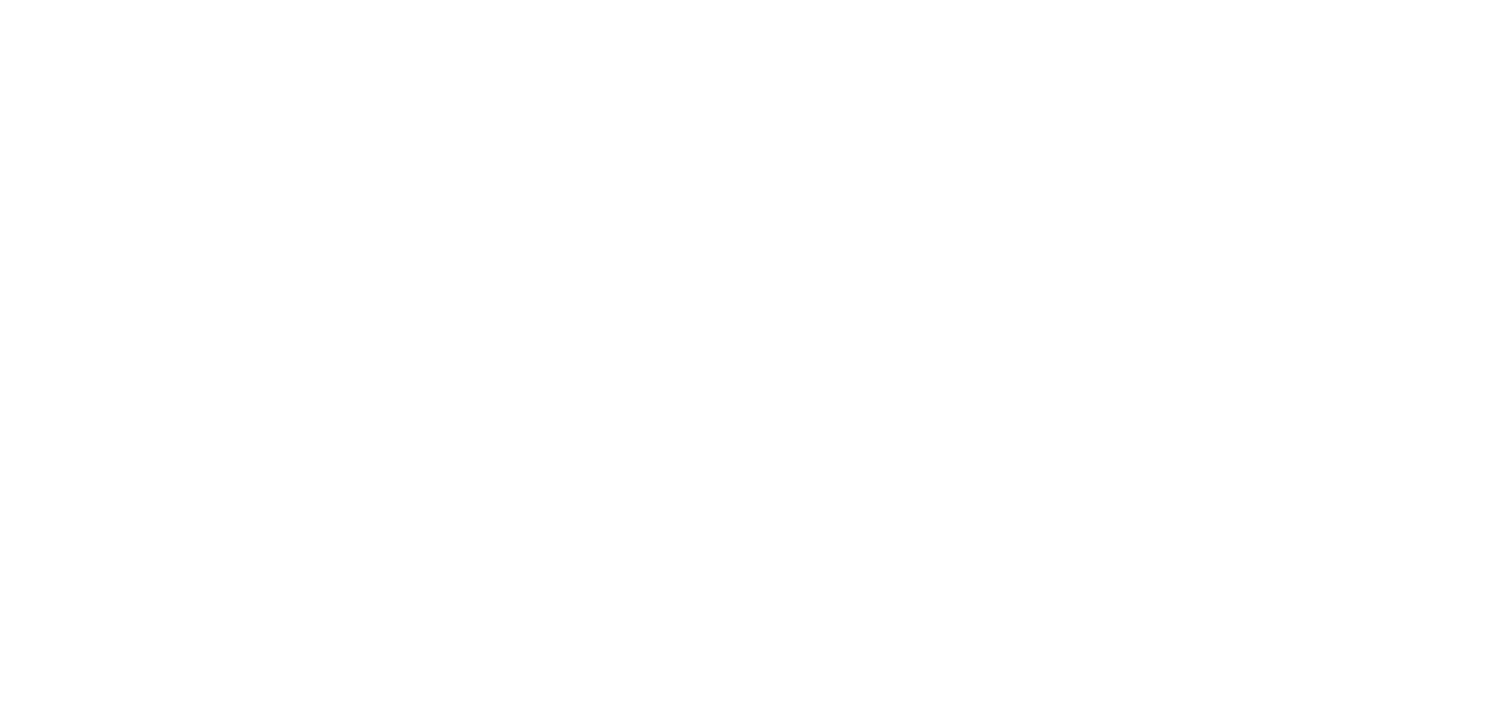 The Pochette