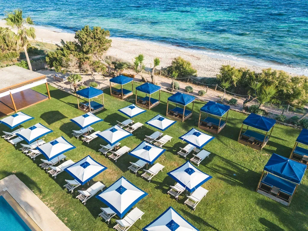 beachclub - gecko (3).webp