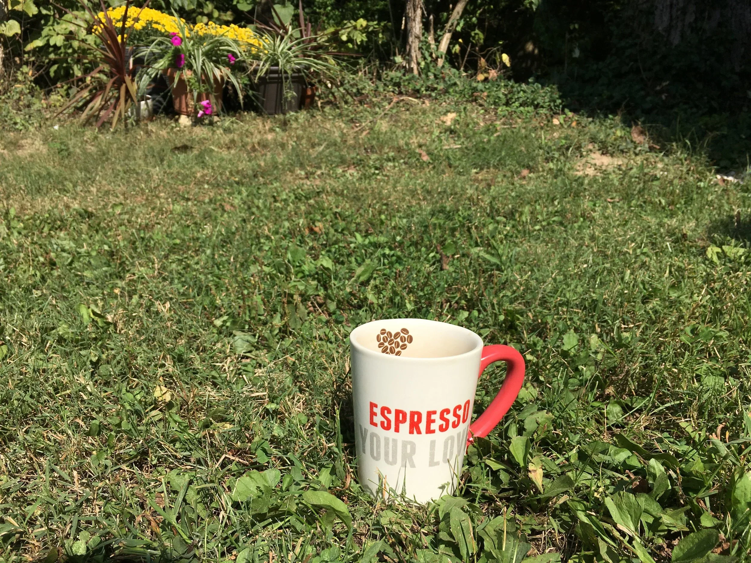 I Drank a Cup of Tea Outside Today, and Now All My Problems are Gone!