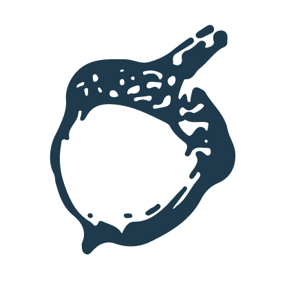 Simple outline illustration of an acorn.