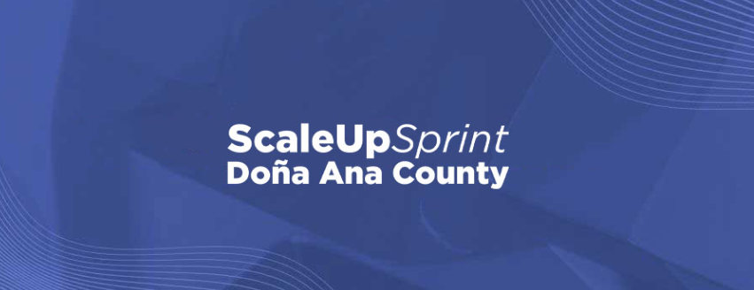 ScaleUp Sprint DAC