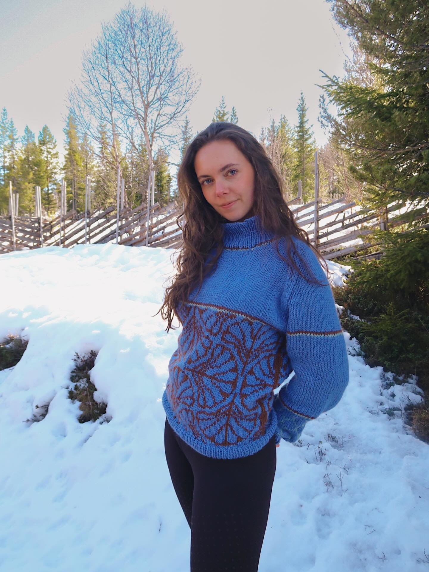 💙🩵🤎 

yarn from @skappeloslo 🌳