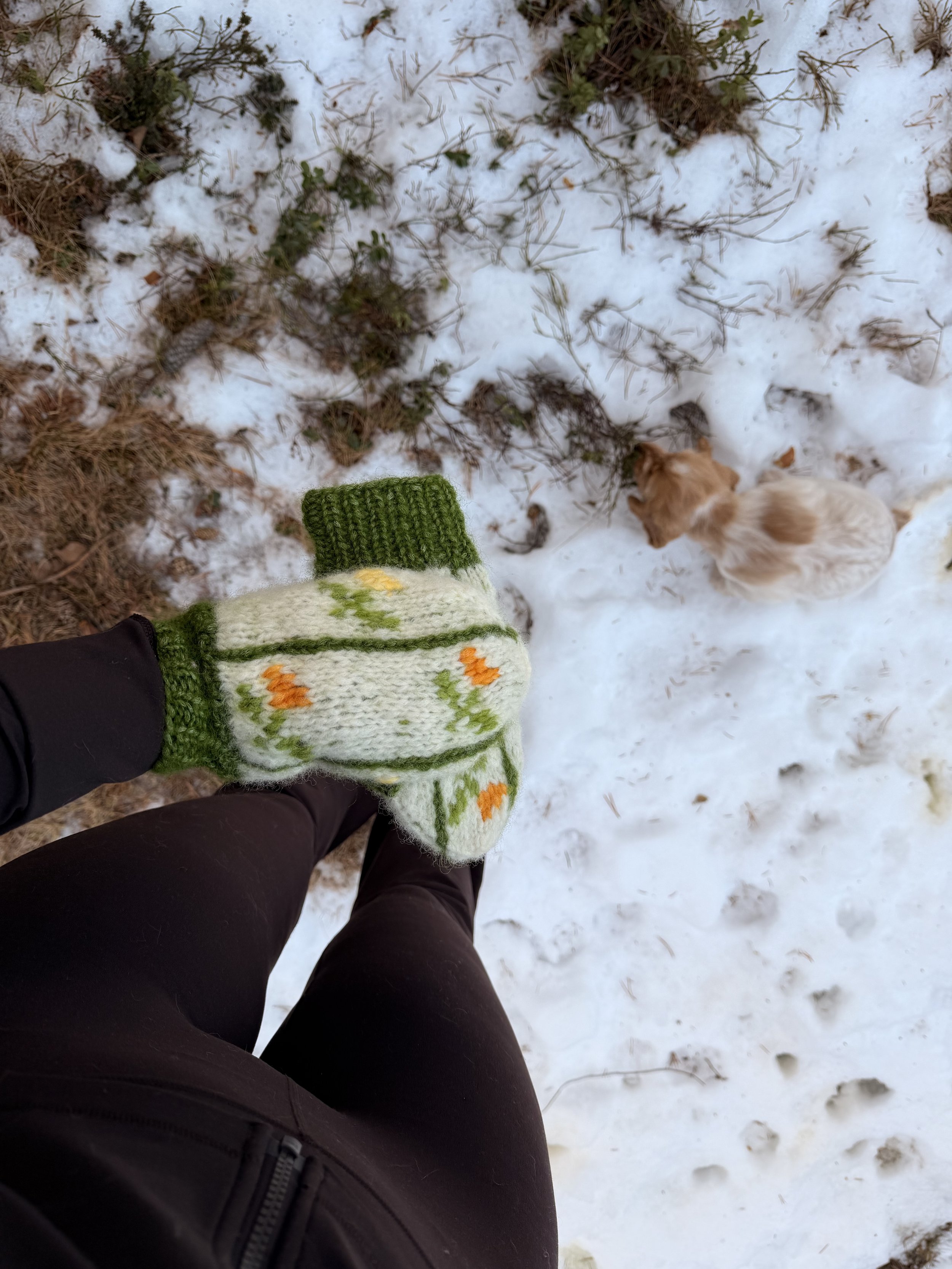 Votter røde 2.0.JPG