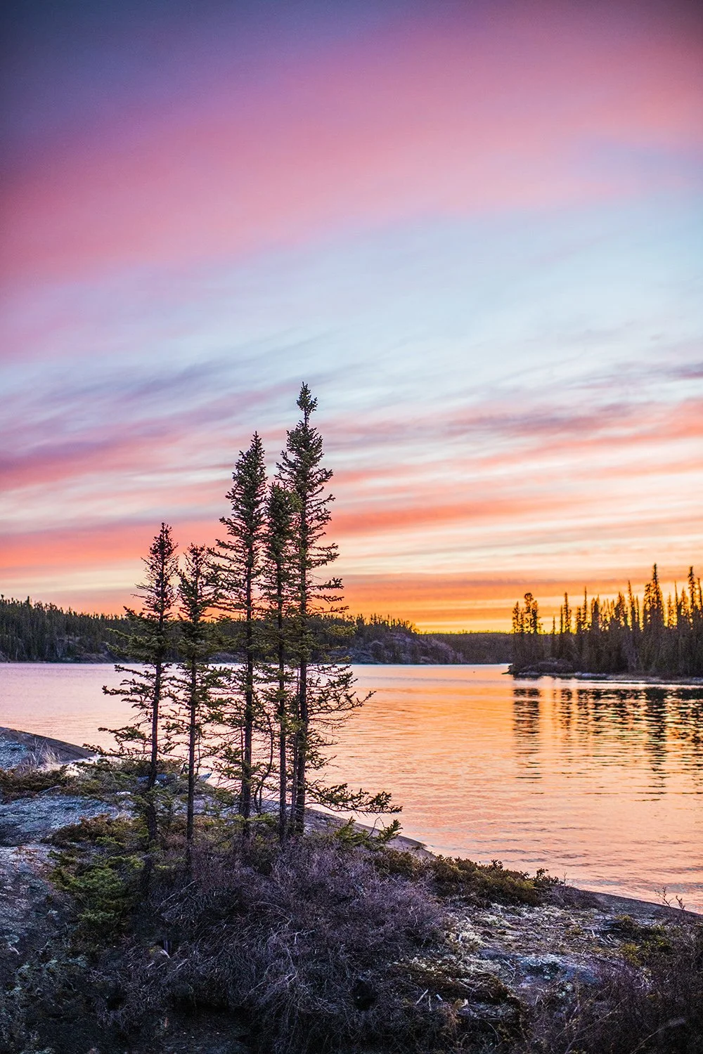 A serene lakeside scene during sunset with pink, purple, and orange sky, tall evergreen trees in the foreground, and calm water reflecting the colorful sky.