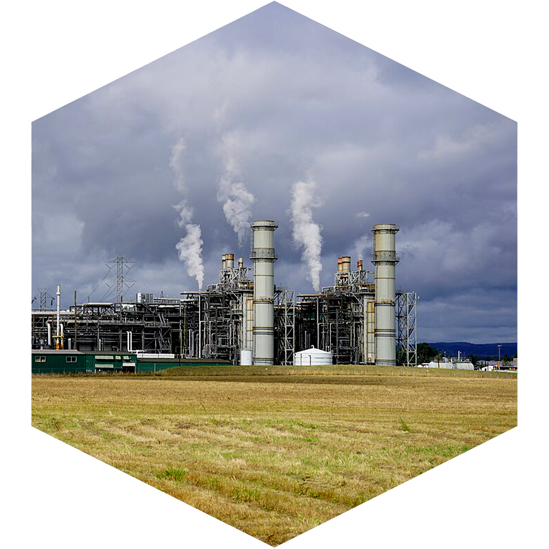 Interior of a data center with rows of server racks illuminated by blue LED lights.