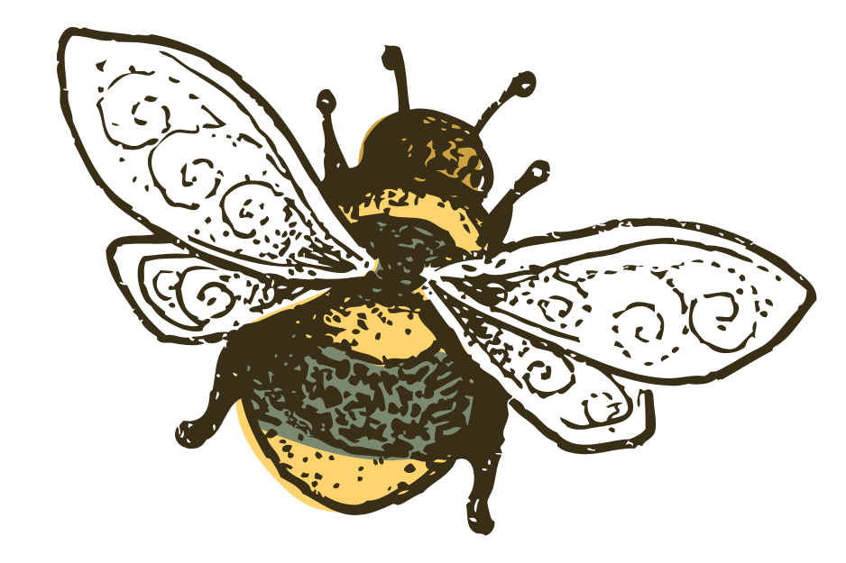 Illustration of a bee with detailed wings and body