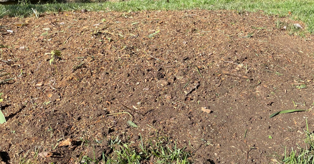 Stump grinding service in Knoxville TN