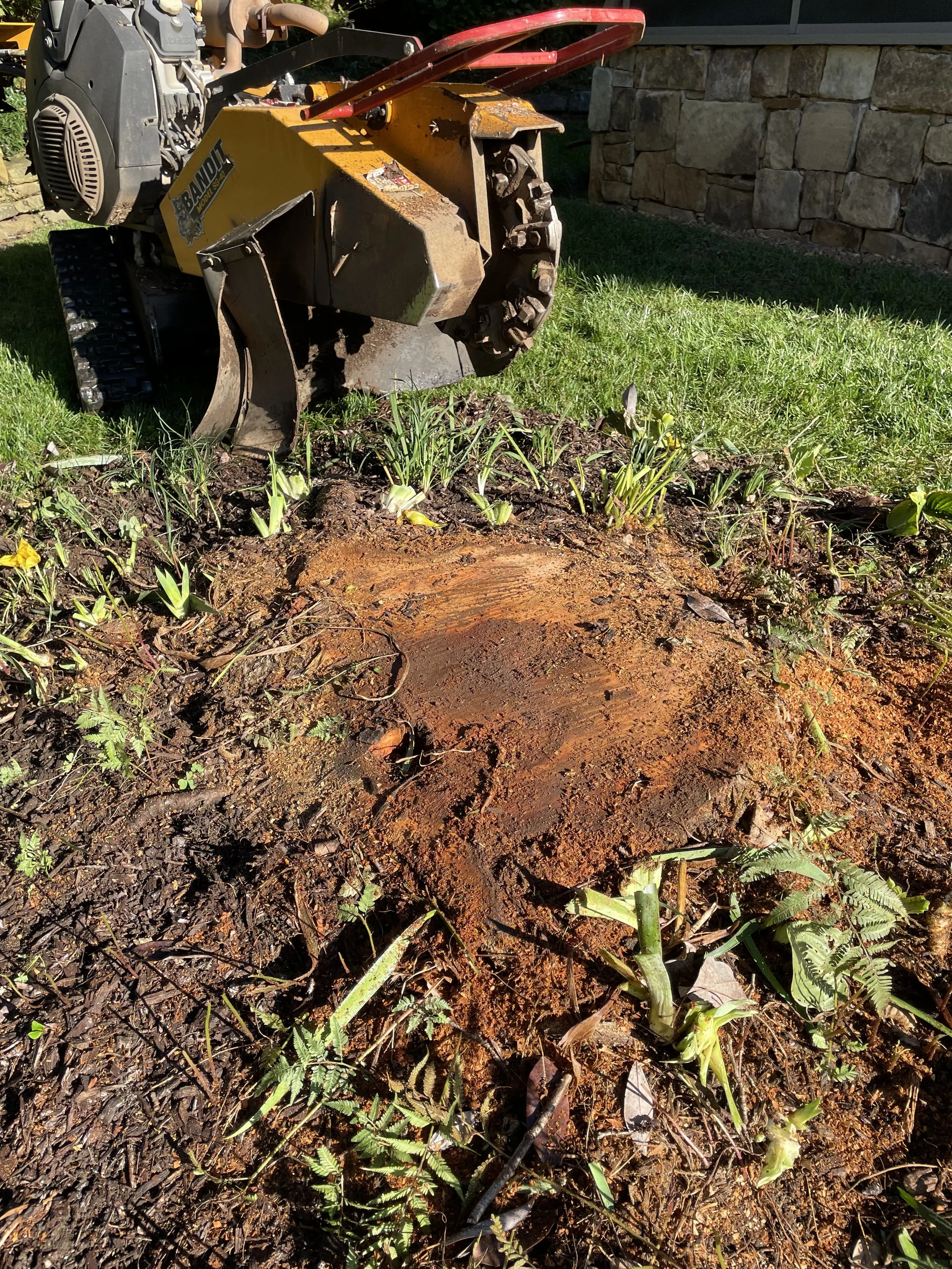 Stump grinding service in Knoxville TN