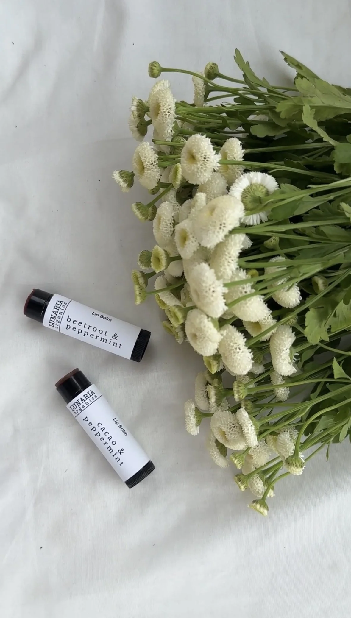 Lip Balm: Beetroot & Peppermint