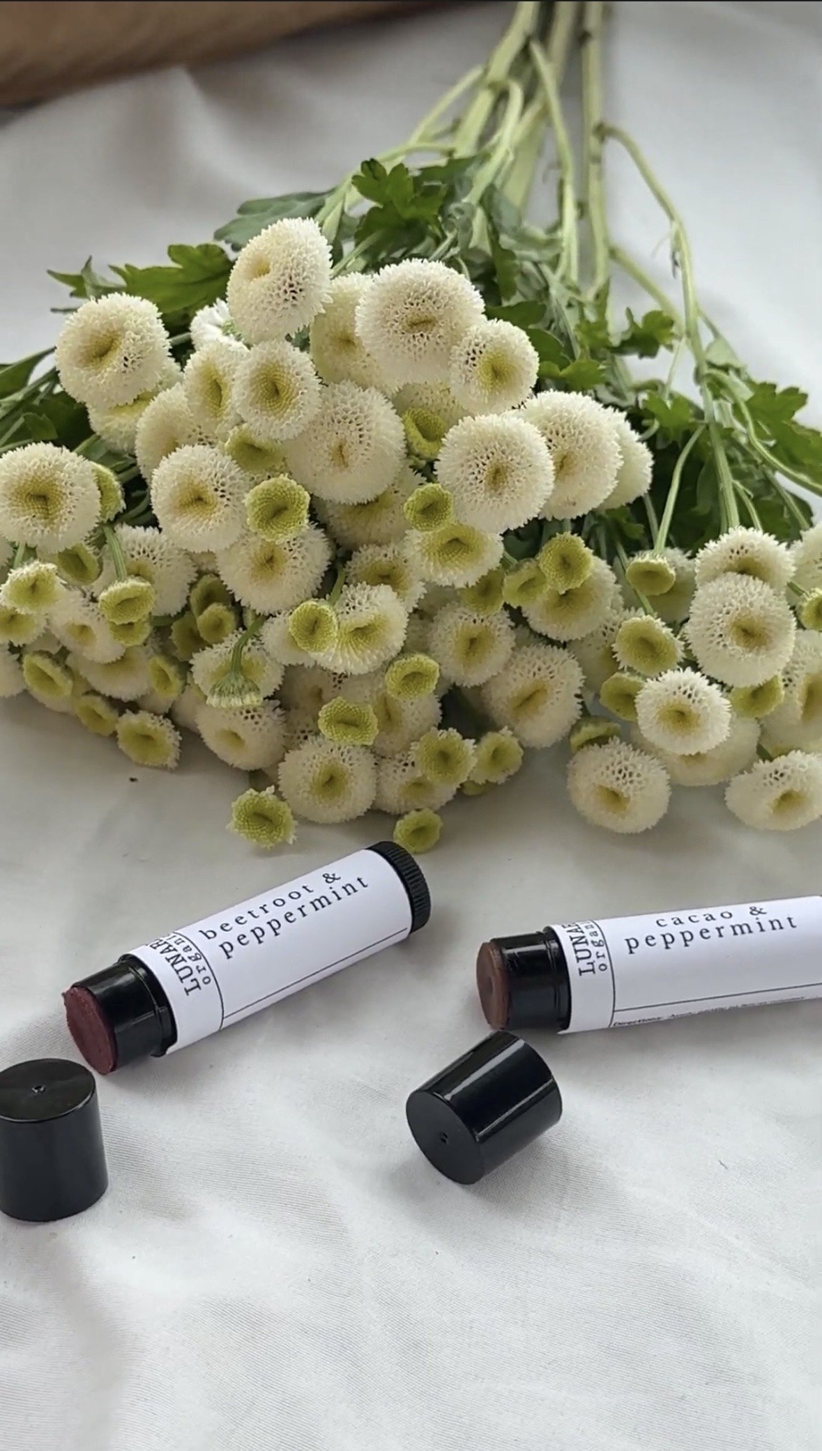 Lip Balm: Cacao & Peppermint