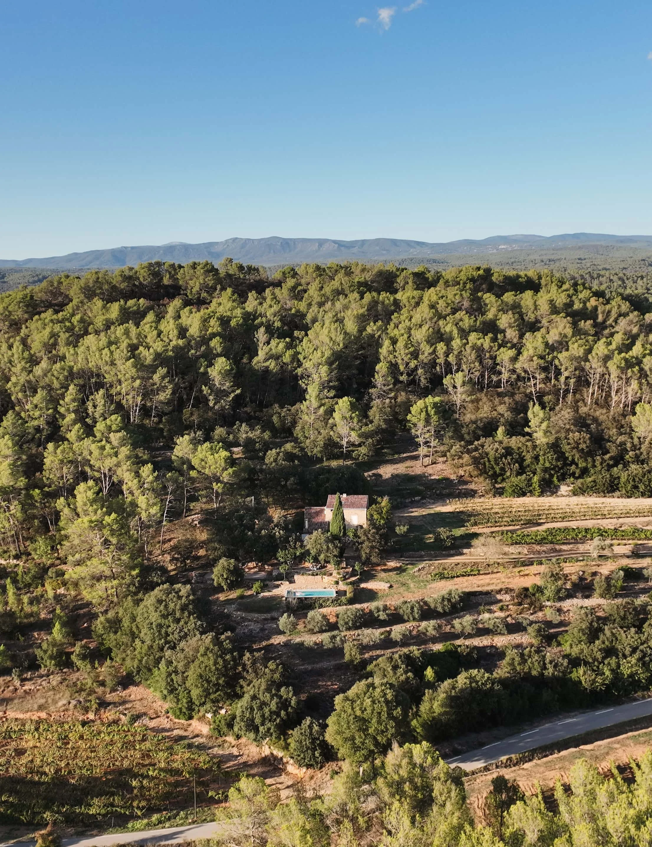 Villa in der Natur Südfrankreichs, Provence, Berge, umgeben von Wald, Weinreben, Olivenhain mit bewaldeten Hügeln und fernen Bergen unter blauem Himmel