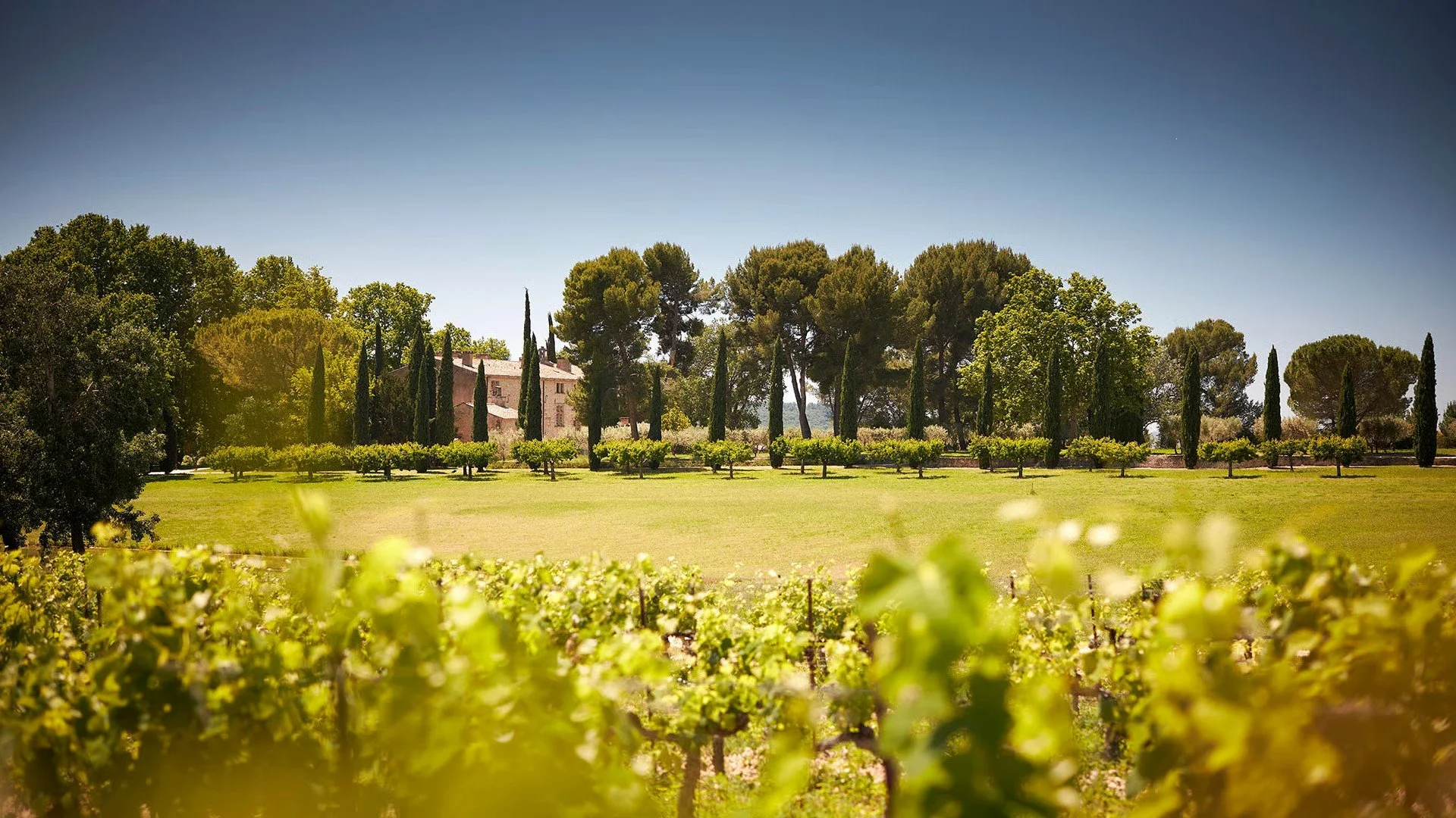 provence-chateau-de-lusannes-sannes (1).jpg