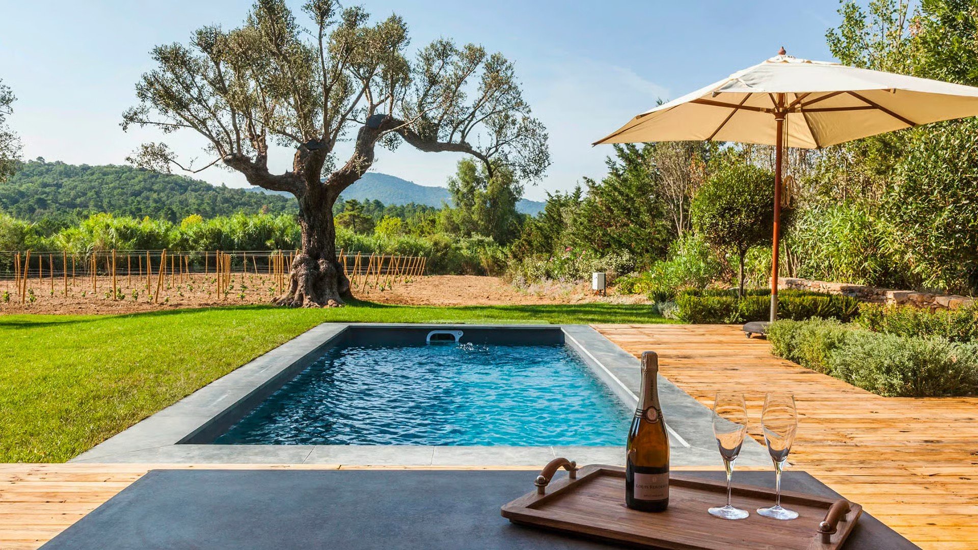 luxury villa with pool surrounded by vineyards in Gassin near Saint Tropez — AZUR ESTATE collection