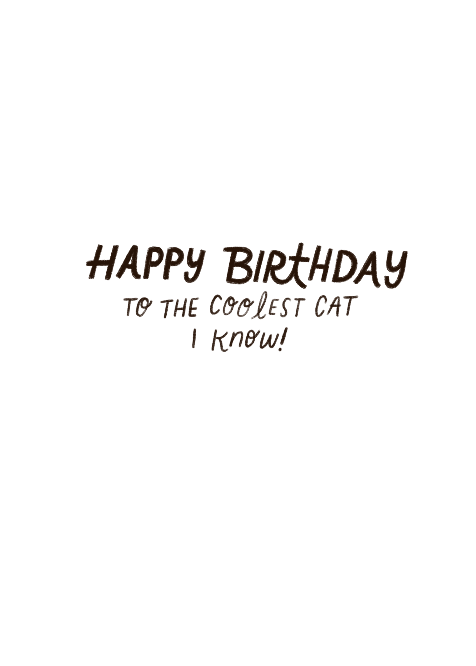 Coolest Cat - Inside