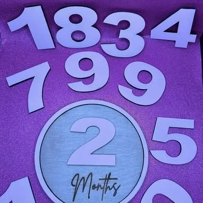 Monthly Baby Milestone Discs