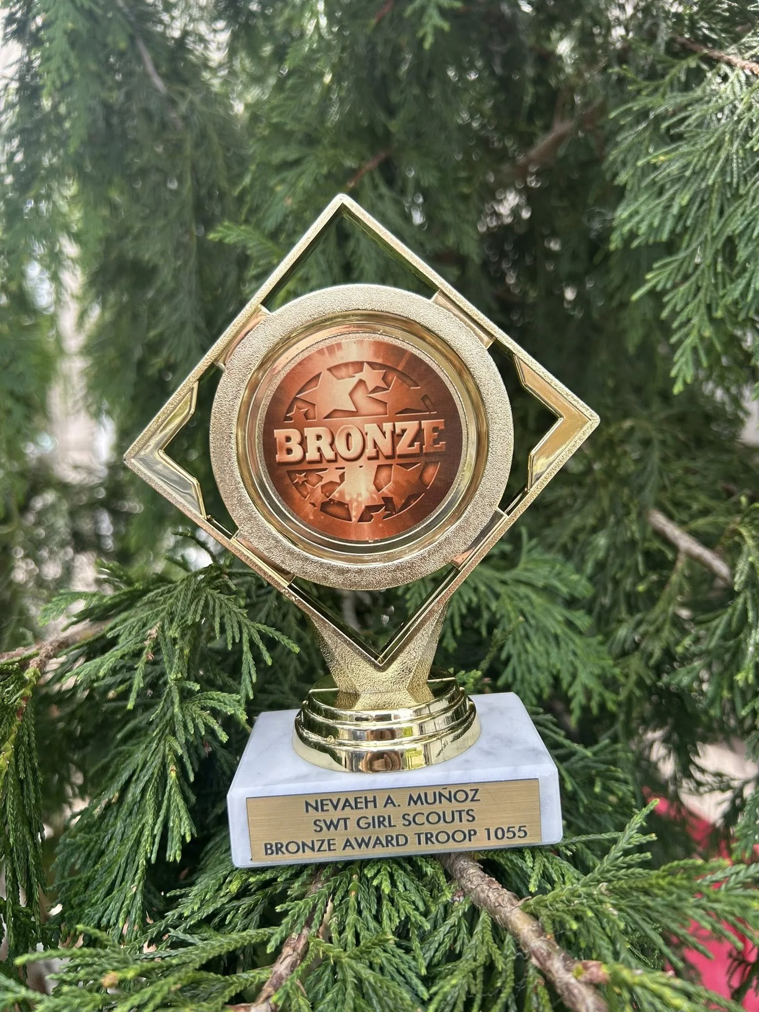 Bronze/ Silver/ Gold  Award Trophy with Custom Nameplate