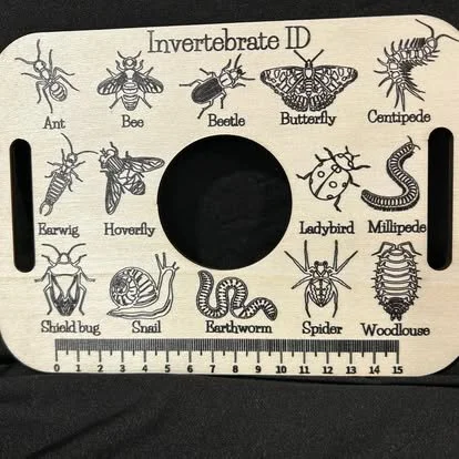 Invertebrate ID Educational Guide Board