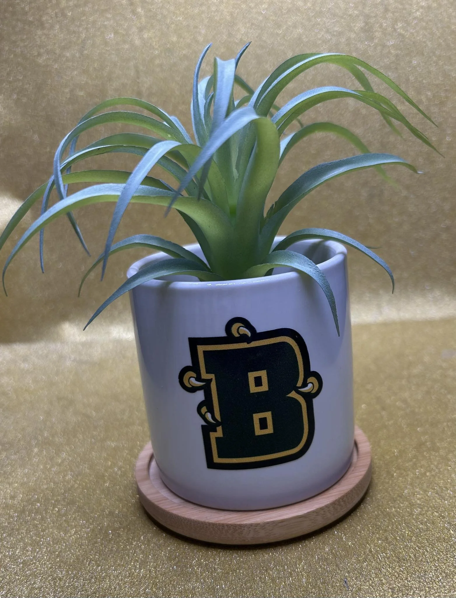 Faux Succulent in College Ceramic Pot
