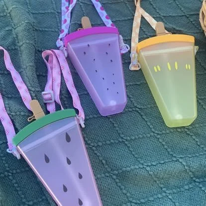 Popsicle- Camera- Watermelon Water canteen kids bottles