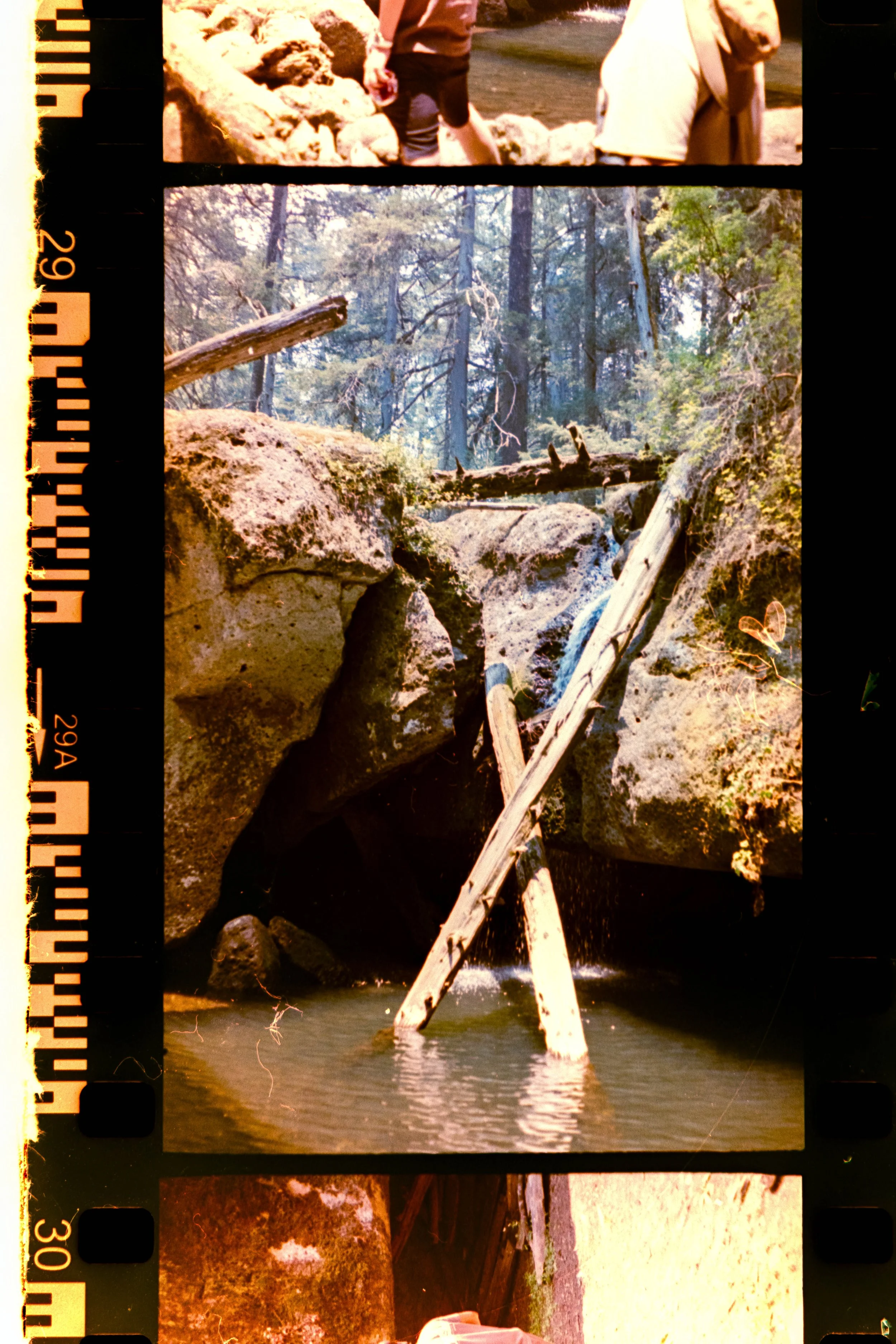 LaloFuji200-28.jpg