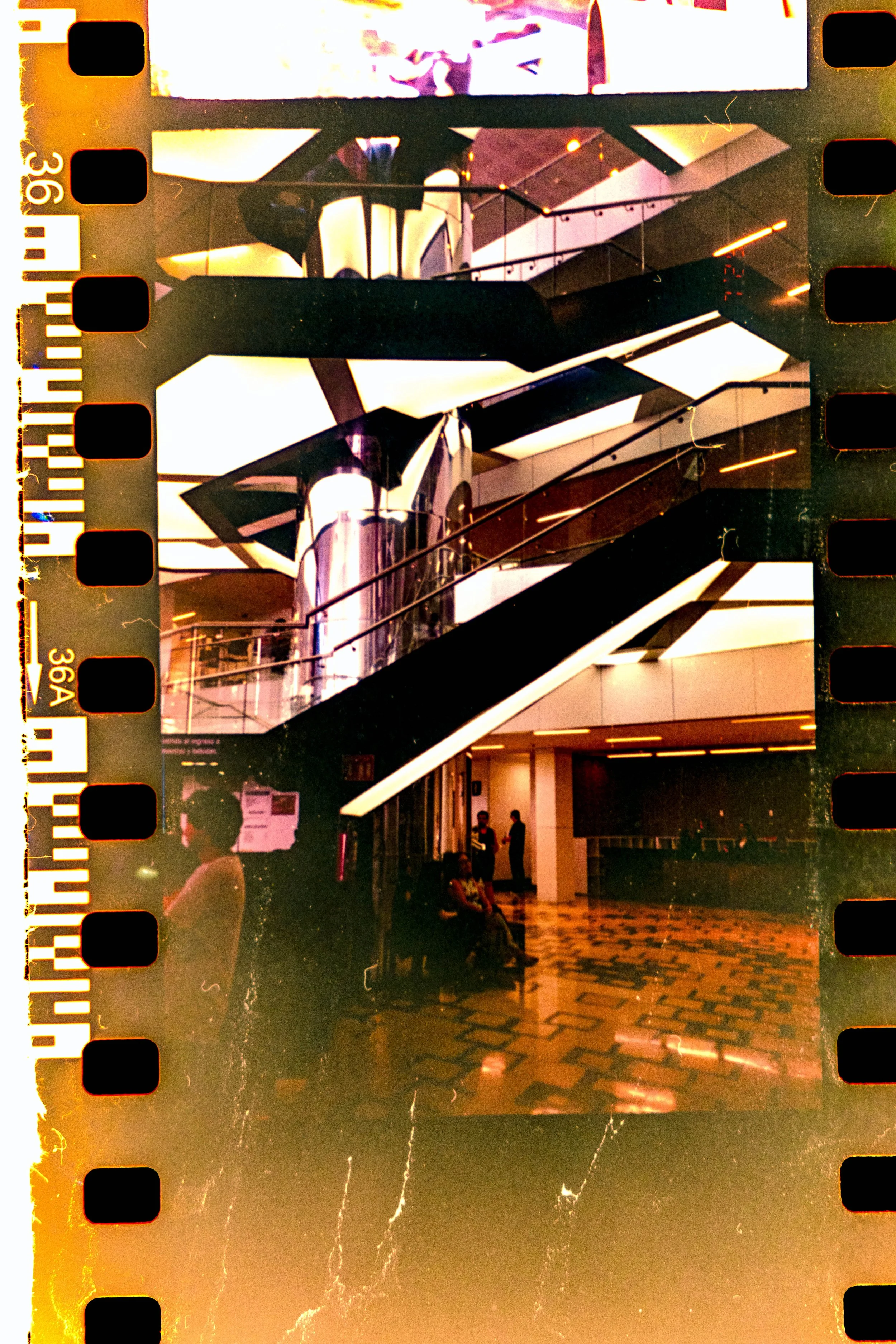 LaloFuji200-35.jpg