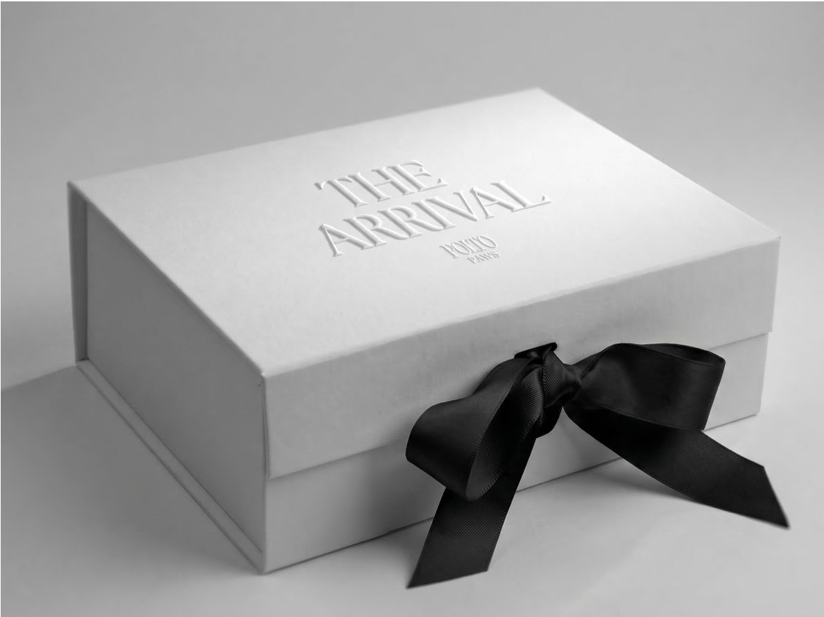 The Arrival Box