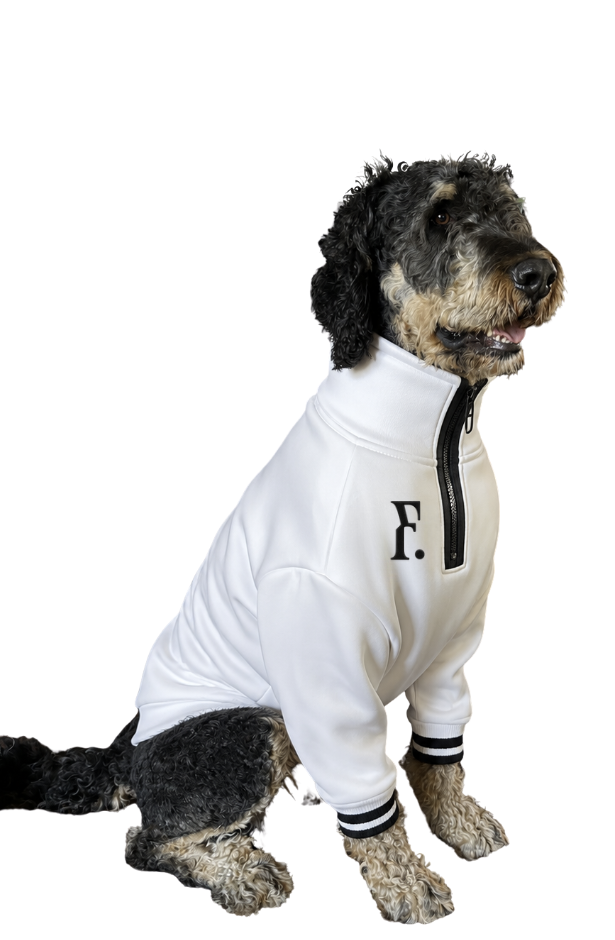 The Varsity Zip