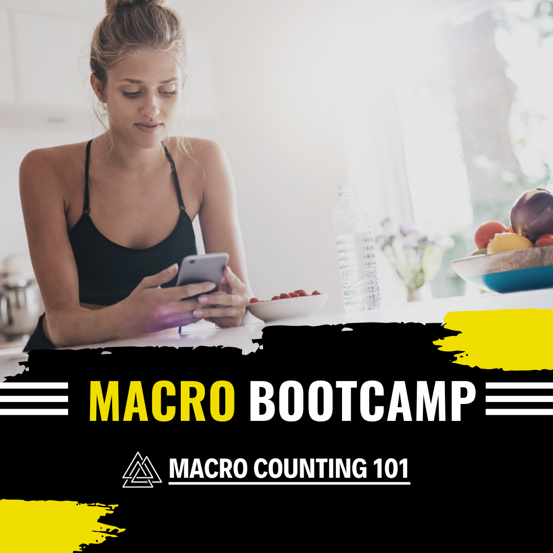 Gym & Fitness Bootcamp Instagram Post (1).png