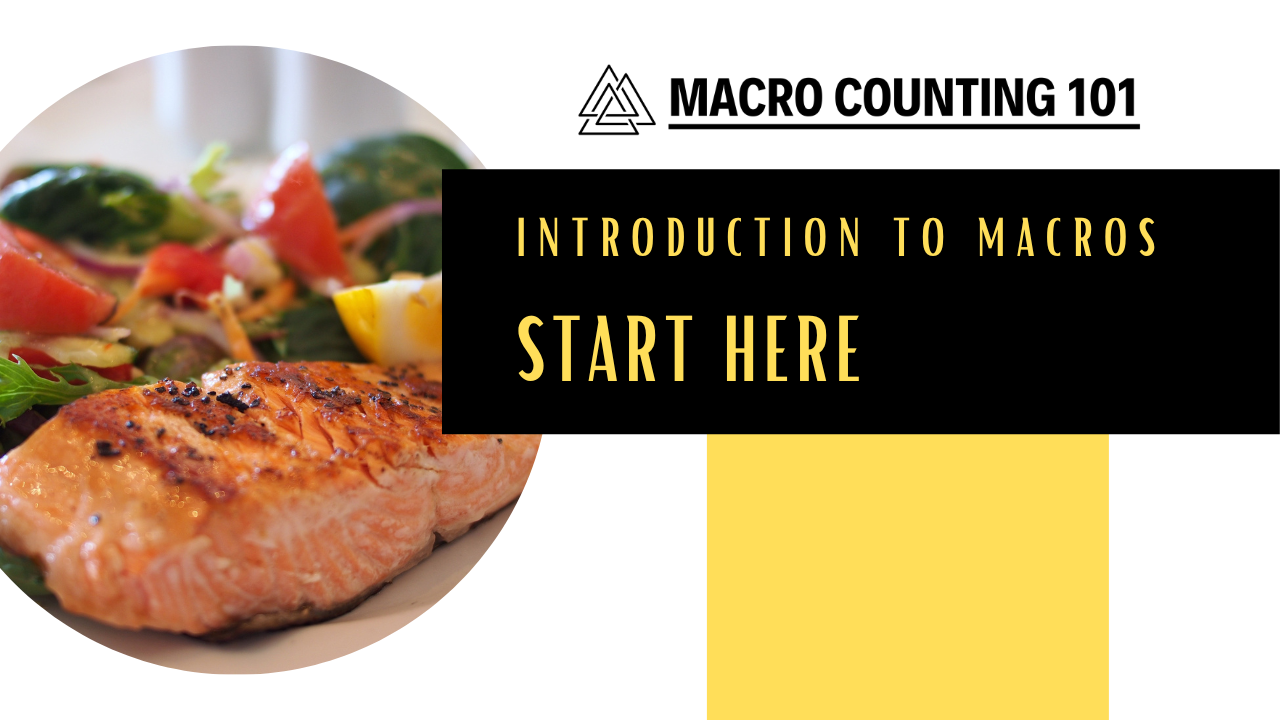 A presentation slide with the title 'Macro Counting 101' and the subtitle 'Introduction to Macros' with a prompt to 'Start Here'. The slide features a circular photo of a cooked salmon fillet and a side salad with mixed greens and vegetables on the left side. The slide has a white background with black, yellow, and white blocks of color and bold black and yellow text.