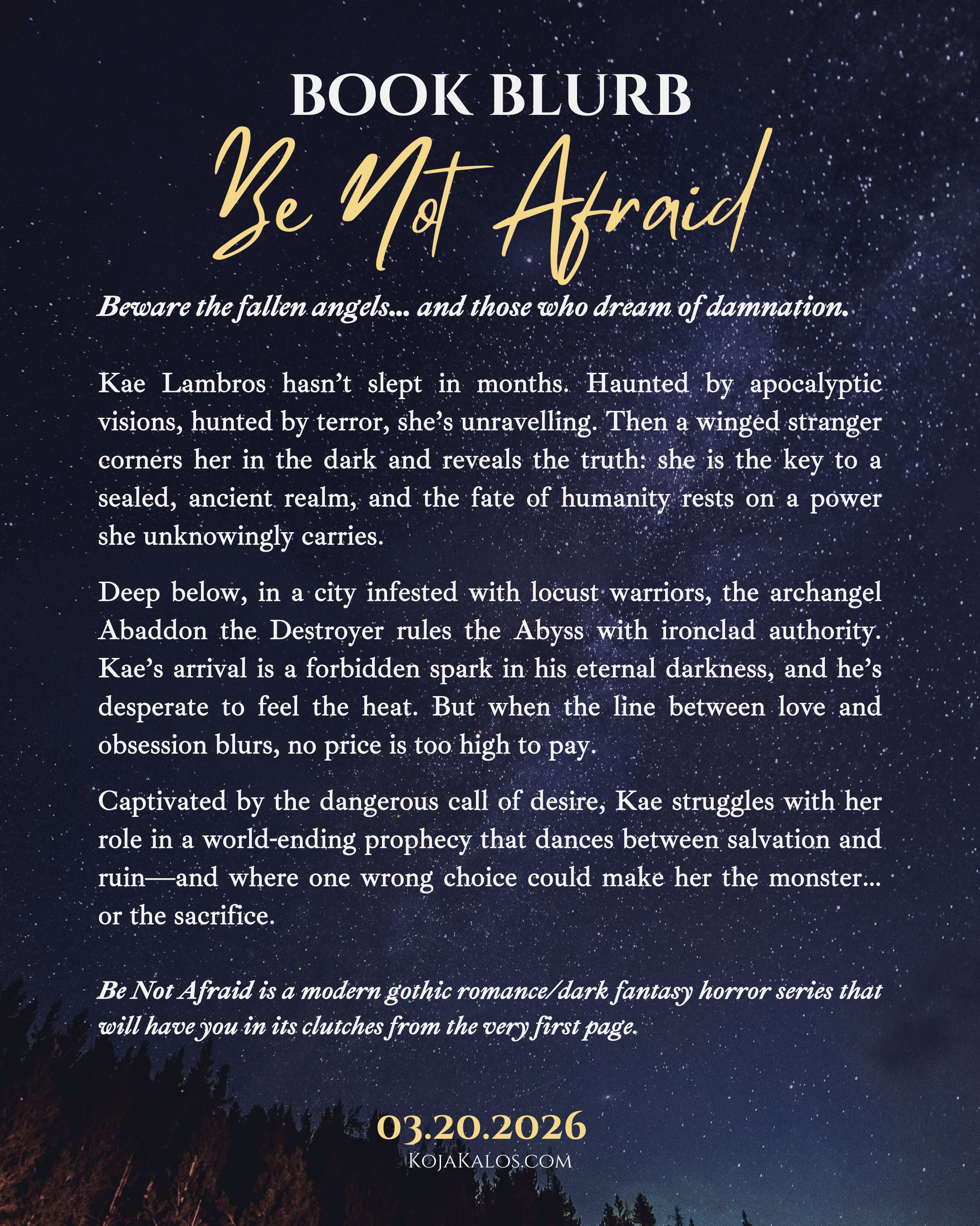 BOOK BLURB fixed.png