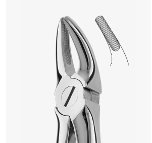 TOOTH FORCEPS N.136 - 2500/136