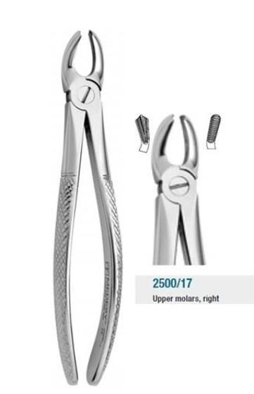 TOOTH FORCEPS N.17 - 2500/17