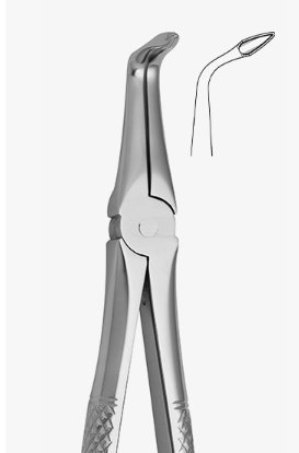 TOOTH FORCEPS N.187 - 2500/187