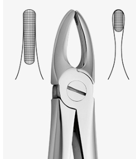 TOOTH FORCEPS N.3 - 2500/3