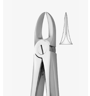 TOOTH FORCEPS N.54 - 2500/54