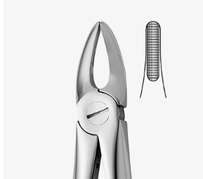 TOOTH FORCEPS PEDO N.29-S - 2500/29-S