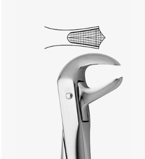 TOOTH FORCEPS N.73 - 2500/73