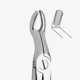 TOOTH FORCEPS N.67-A - 2500/67-A
