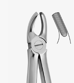 TOOTH FORCEPS PEDO N.39 - 2500/39