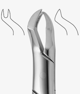 TOOTH FORCEPS AMERICAN N.88-R - 2650/88-R