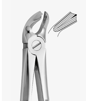 TOOTH FORCEPS N.21 - 2500/21