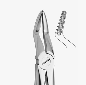 TOOTH FORCEPS N.52 - 2500/52