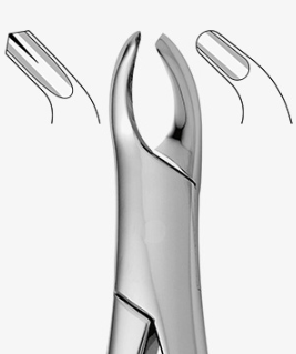 TOOTH FORCEPS AMERICAN N.18-R - 2650/18-R