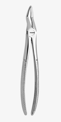 TOOTH FORCEPS N.51-A - 2500/51-A